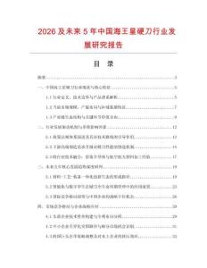 2026及未來5年中國海王星硬刀行業(yè)發(fā)展研究報告