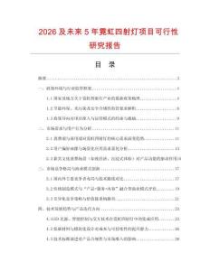 2026及未來5年霓虹四射燈項目可行性研究報告