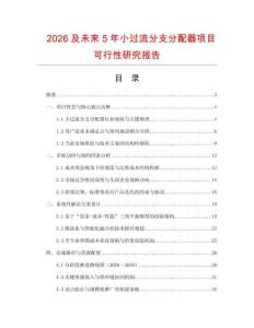 2026及未來5年小過流分支分配器項目可行性研究報告