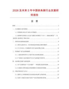 2026及未來5年中國鐵條刷行業(yè)發(fā)展研究報(bào)告