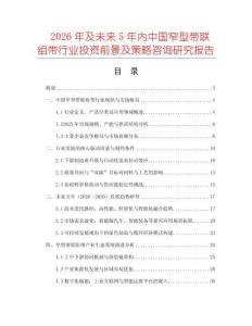 2026年及未來5年內中國窄型帶聯組帶行業投資前景及策略咨詢研究報告