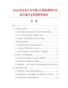 2026及未來5年中國2X塑料直柄方形放大鏡行業發展研究報告