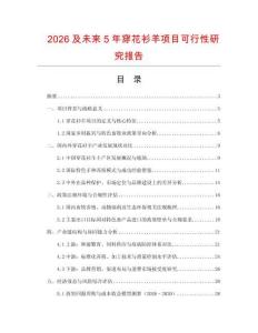2026及未來5年穿花衫羊項目可行性研究報告