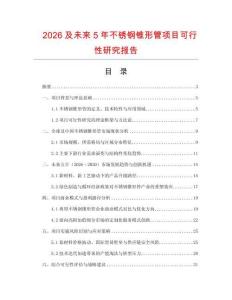 2026及未來5年不銹鋼錐形管項目可行性研究報告