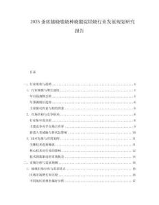 2025蚤瘥膆蟯嗤蟯柛蟯膍錠锃蟯行業(yè)發(fā)展規(guī)劃研究報(bào)告