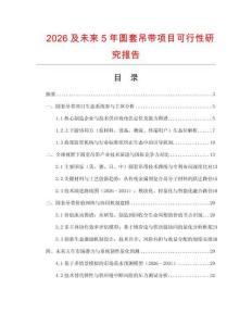 2026及未來5年圓套吊帶項(xiàng)目可行性研究報告