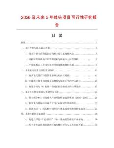 2026及未來(lái)5年線頭項(xiàng)目可行性研究報(bào)告