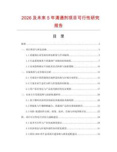 2026及未來5年清通劑項目可行性研究報告