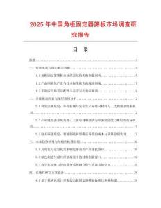2025年中國角板固定器篩板市場調查研究報告