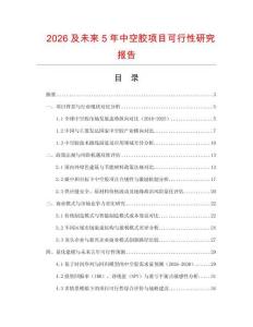2026及未來5年中空膠項目可行性研究報告