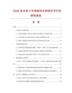 2026及未來5年角型回水閥項目可行性研究報告
