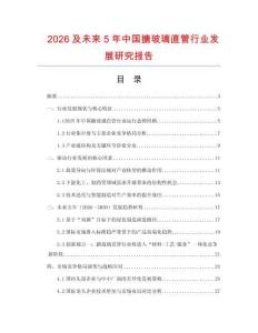 2026及未來5年中國搪玻璃直管行業發展研究報告