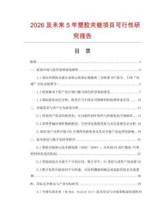 2026及未來5年塑膠夾鏈項目可行性研究報告