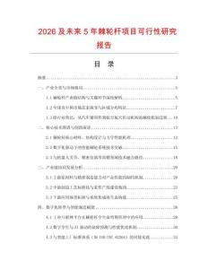 2026及未來5年棘輪桿項目可行性研究報告
