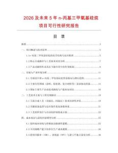 2026及未來5年n-丙基三甲氧基硅烷項目可行性研究報告