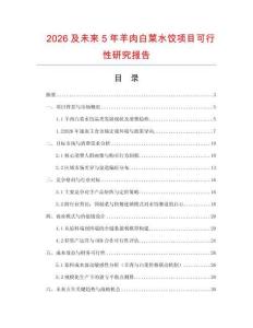 2026及未來5年羊肉白菜水餃項目可行性研究報告