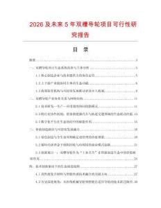 2026及未來(lái)5年雙槽導(dǎo)輪項(xiàng)目可行性研究報(bào)告