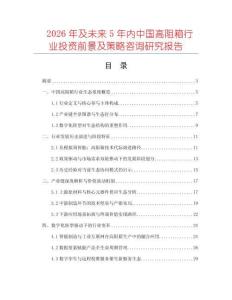 2026年及未來5年內中國高阻箱行業投資前景及策略咨詢研究報告