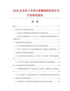 2026及未來5年單頭音圈繞線機項目可行性研究報告