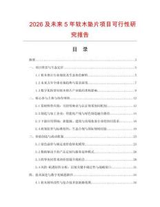 2026及未來5年軟木墊片項目可行性研究報告