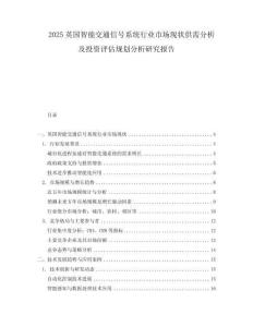 2025英國智能交通信號系統行業市場現狀供需分析及投資評估規劃分析研究報告