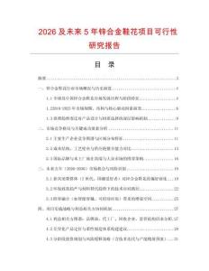 2026及未來5年鋅合金鞋花項目可行性研究報告