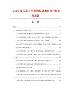 2026及未來5年普通膠輥項目可行性研究報告