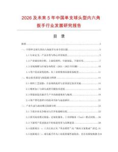 2026及未来5年中国单支球头型内六角扳手行业发展研究报告
