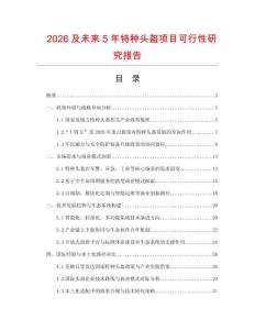 2026及未來5年特種頭盔項目可行性研究報告