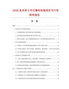2026及未來5年打磨機軟軸項目可行性研究報告