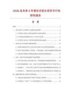 2026及未來5年等壓式炬頭項目可行性研究報告