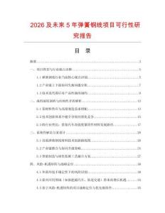 2026及未來5年彈簧鋼線項目可行性研究報告