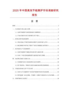 2025年中國高效節能煤爐市場調查研究報告
