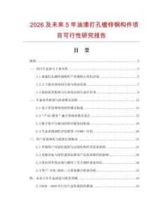 2026及未來5年油漆打孔鍍鋅鋼構件項目可行性研究報告