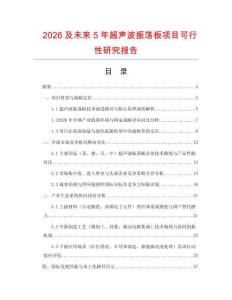 2026及未來5年超聲波振蕩板項目可行性研究報告