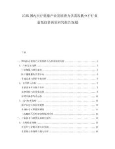 2025國內醫療健康產業發展潛力供需現狀分析行業前景投資決策研究報告規劃
