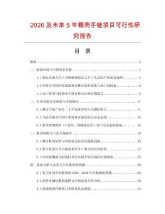 2026及未來5年椰殼手鏈項目可行性研究報告