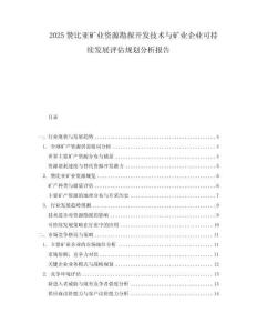 2025贊比亞礦業資源勘探開發技術與礦業企業可持續發展評估規劃分析報告