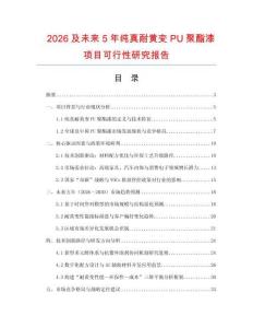 2026及未來5年純真耐黃變PU聚酯漆項目可行性研究報告