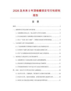 2026及未來5年深格碟項(xiàng)目可行性研究報(bào)告