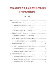 2026及未來5年全金水波紋提花毛毯項目可行性研究報告