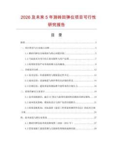 2026及未來5年測磚回彈儀項目可行性研究報告