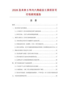 2026及未來5年內(nèi)六角組合工具項目可行性研究報告
