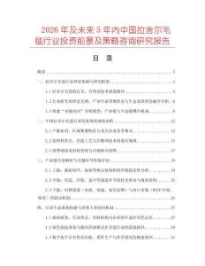 2026年及未來5年內(nèi)中國拉舍爾毛毯行業(yè)投資前景及策略咨詢研究報告