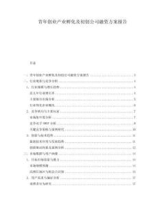 青年創業產業孵化及初創公司融資方案報告