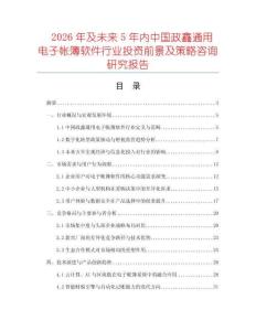 2026年及未來5年內中國政鑫通用電子帳簿軟件行業投資前景及策略咨詢研究報告