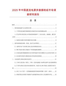2025年中国直流电源多接插线组市场调查研究报告