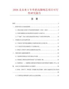 2026及未來5年單把高腳閥芯項目可行性研究報告