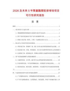 2026及未來5年聚氨酯塑膠排球場項目可行性研究報告
