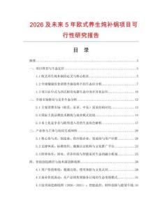 2026及未來5年歐式養生燉補鍋項目可行性研究報告